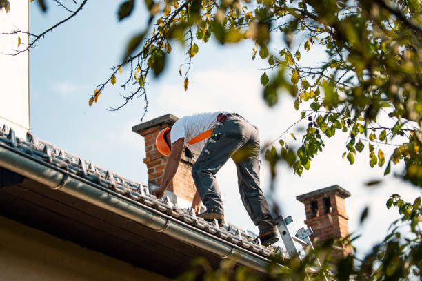 Best Sheet Metal Roofing  in Orchard Homes, MT