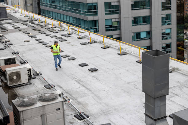 Best Roof Moss and Algae Removal  in Orchard Homes, MT
